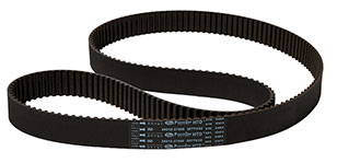 �����㲿������������