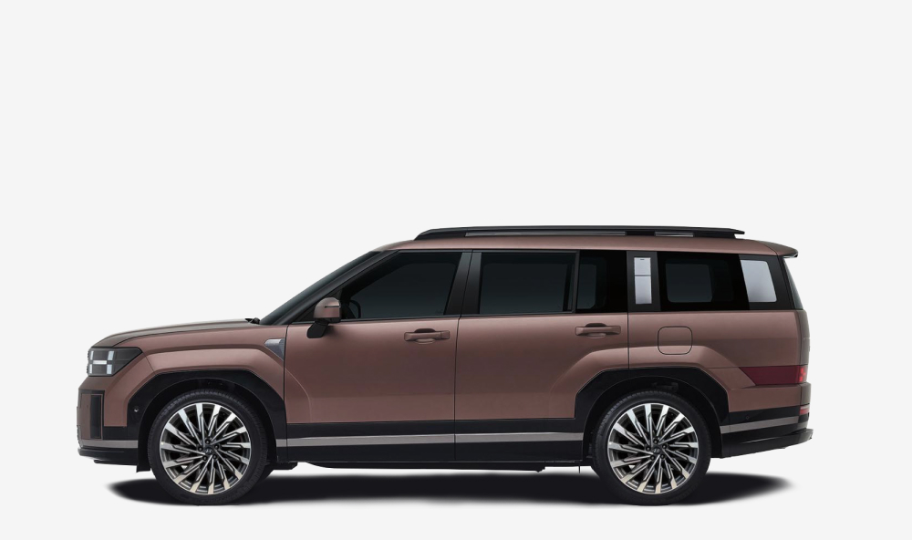 ����� ʤ��